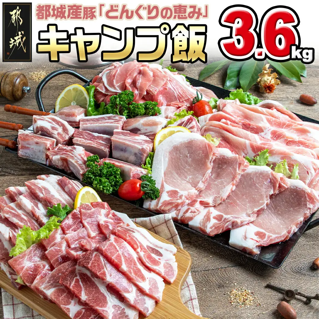 「どんぐりの恵み豚」キャンプ飯3.6kgセット〔17-1104〕_(都城市) 都城産豚 どんぐりの恵み ロースステーキ バラワイルド焼肉 肩ロース焼肉 モモ焼きそば用 ウデ大判スライス スペアリブ焼肉 真空包装 3.6キロ 200g 300g BBQ キャンプ