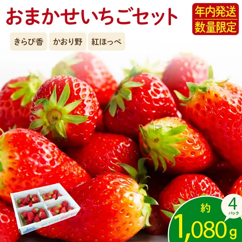 いちご 約1kg 先行予約 2026年11月より順次発送 いちご