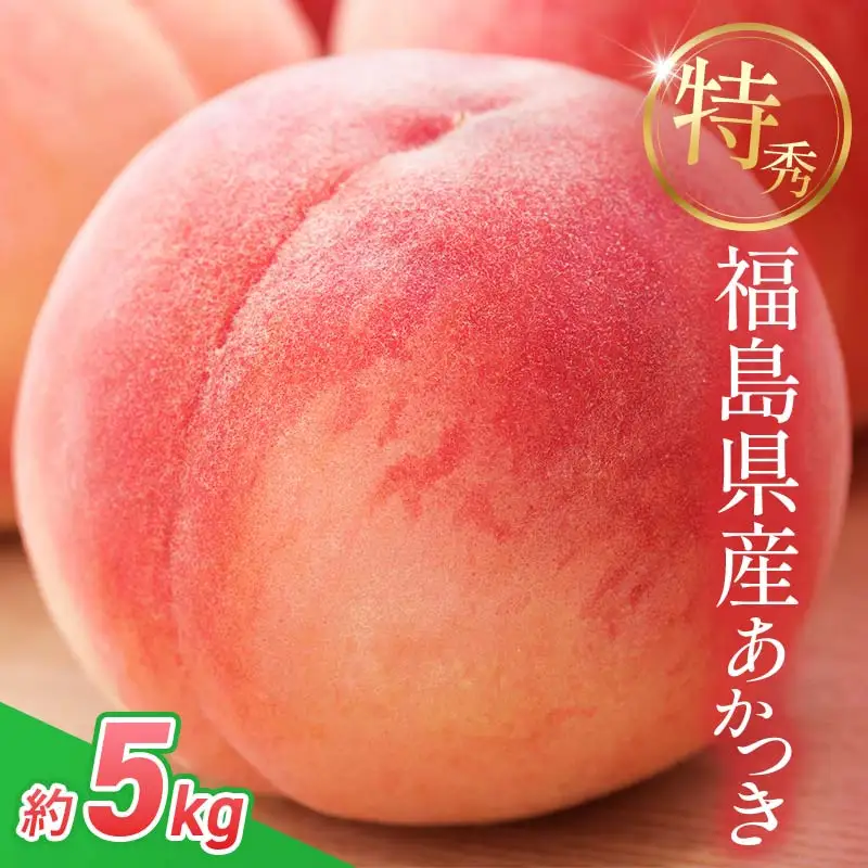 【2027年発送】桃 あかつき 約5kg F20C-125