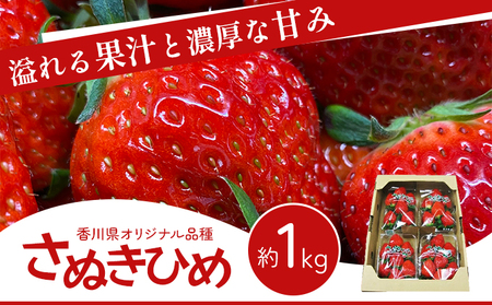 いちご さぬきひめ 香川県産 いちご【1kg】