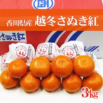 みかん 越冬完熟さぬき紅みかん みかん【約3kg】