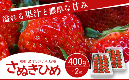 いちご さぬきひめ 化粧箱 香川県産 いちご【400g×2箱】 【46312059】