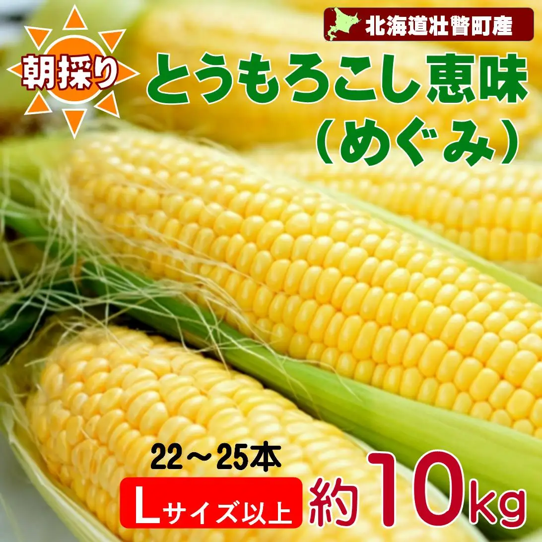 ＜2026年8月下旬よりお届け＞【朝採り】北海道壮瞥町産　とうもろこし恵味（めぐみ）Lサイズ以上約10kg（22～25本） SBTL013