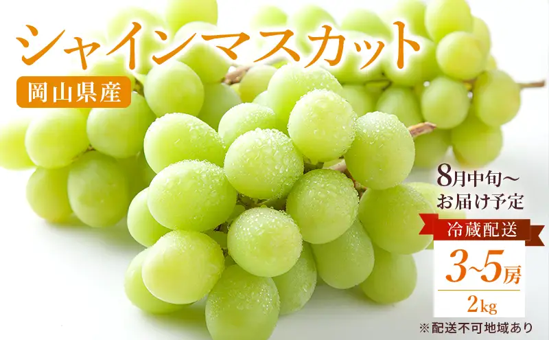 ぶどう 2026年 先行予約 ご家庭用 シャイン マスカット 約2kg 糖度抜群！ 【8月中旬～順次発送分】 ブドウ 葡萄  岡山県産 国産 フルーツ 果物 果物類 