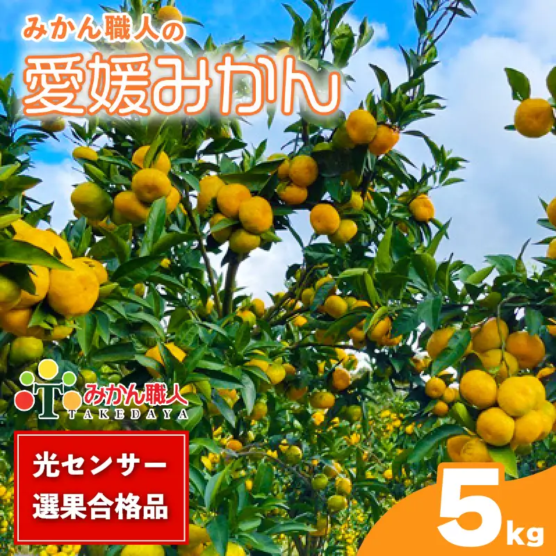 【先行予約】訳あり 愛媛みかん 5kg みかん職人武田屋 愛媛県 愛南町