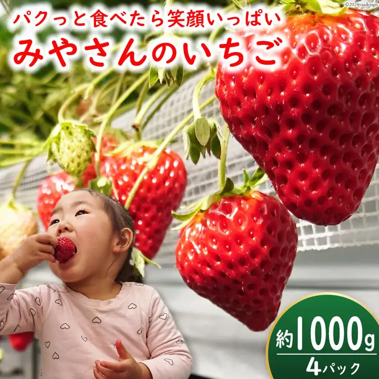 【期間限定発送】みやさん自慢のおすすめチョイス！ 完熟 いちご (250g×4パック) 約1000g