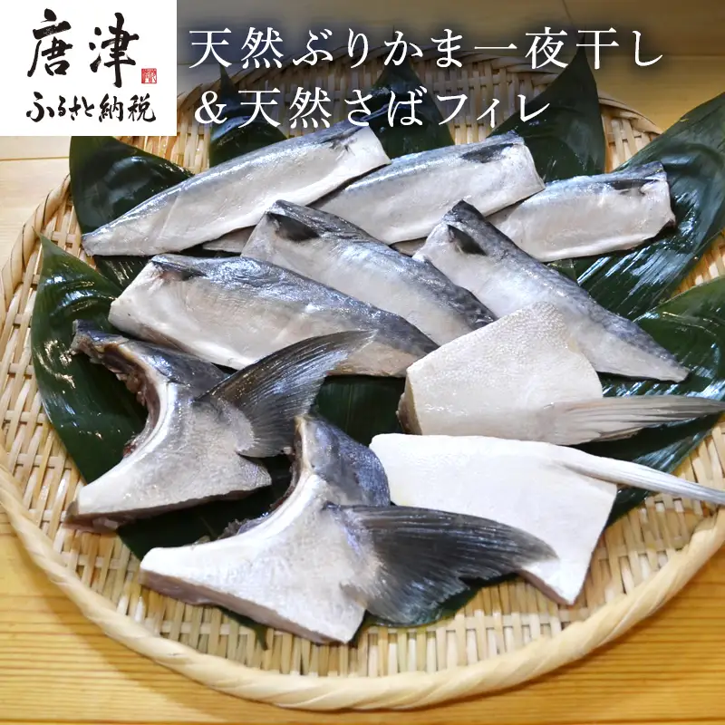 天然ぶりかま一夜干し ハーフ2食×2袋 計400g＆天然さばフィレ 100g×2枚×3袋計600g(合計1kg) 