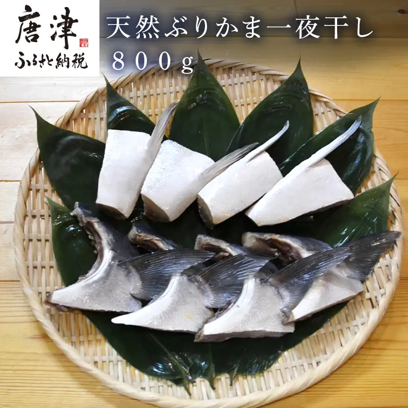 天然ぶりかま一夜干し ハーフ2食×4袋(合計800g)