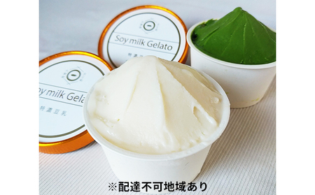 ジェラート 大和大鉄砲大豆 豆乳ジェラート 2種類 計6個 プレーン 抹茶 食べ比べ 植物性100％ 大豆 豆乳 特濃豆乳 アイス アイスクリーム スイーツ おやつ 抹茶スイーツ 抹茶アイス アレルギー ヴィーガン ビーガン 冷凍 冷凍配送 奈良 奈良県