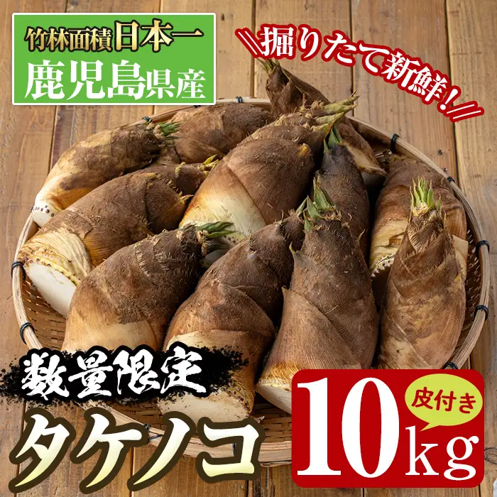 i365 ≪数量限定！先行予約受付中！2027年4月上旬～4月中旬の間に発送予定≫鹿児島県出水市産！タケノコ＜皮付き10kg＞ たけのこ 筍 タケノコ 国産 皮付き 野菜 旬 新鮮 採りたて 煮物 味噌汁 炊き込みご飯 【シンタク】