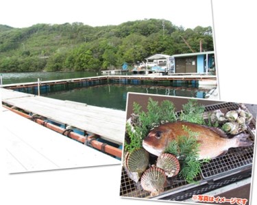 釣り チケット 6名 貸し切り お土産 付き 城水産 釣堀 釣り堀 魚釣り つり フィッシング 筏釣り 観光 旅行 アクティビティ 家族 子供 子ども 利用券 体験 鯛 たい 魚 魚介 海鮮 海産物 海 刺し身 三重 南伊勢 伊勢志摩