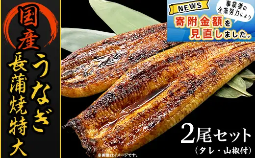H7-93B国産うなぎ長蒲焼特大2尾セット（タレ・山椒付）