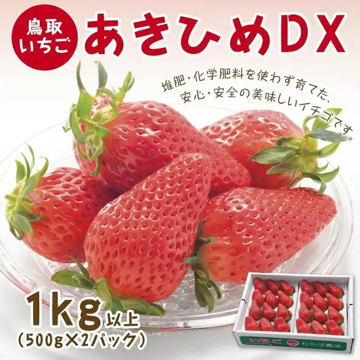 あきひめDX 1kg 鳥取いちご【とみハウス】