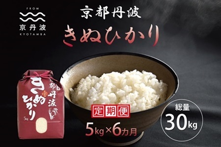 【6回定期便】 京丹波きぬひかり 5kg×6カ月連続 合計30kg 令和8年産  [060MB004R]