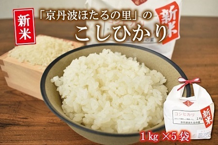 【京丹波のお米】ほたるの里のこしひかり 1kg×5袋（総量5kg）  [010HS004L]