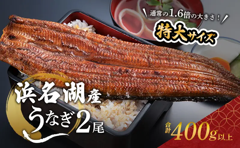 うなぎ 国産 超特大 長蒲焼き 2尾 400g以上 うなぎ