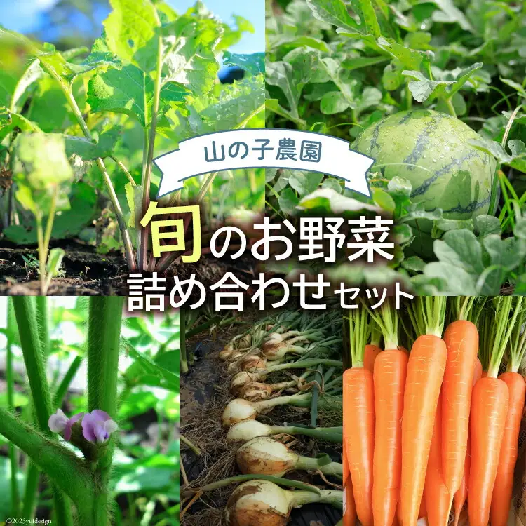 旬のお野菜詰め合わせセット