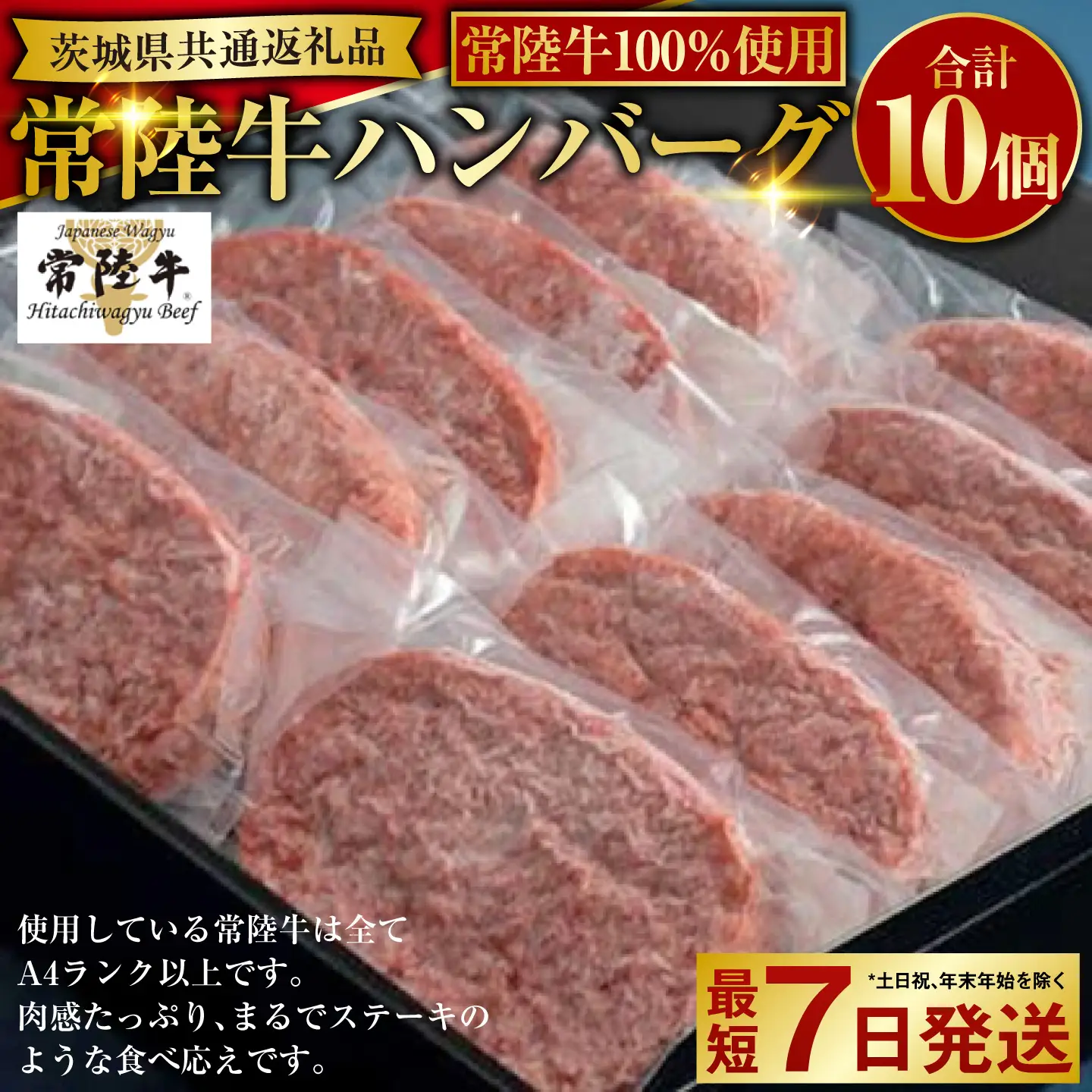 【常陸牛100%】ハンバーグ10個（ソース付） 130g×10個 合計1.3kg（茨城県共通返礼品） | ハンバーグ 個包装 挽肉 ひき肉 アウトドア 小分け お肉 肉 牛肉 和牛 黒毛和牛 ブランド 常陸牛 100% 惣菜 おかず 冷凍 お取り寄せ 藤井商店 茨城県 守谷市