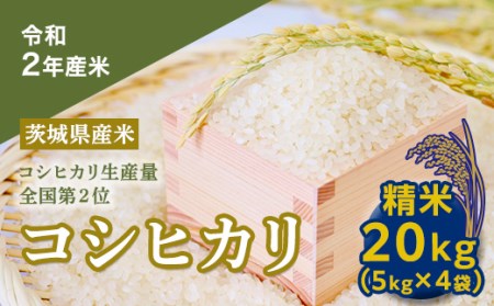 【数量限定】＜令和２年産米＞茨城県産コシヒカリ２０㎏