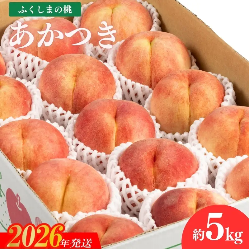 No.2041 【2026年発送 先行予約】福島のもも　あかつき　約5kg