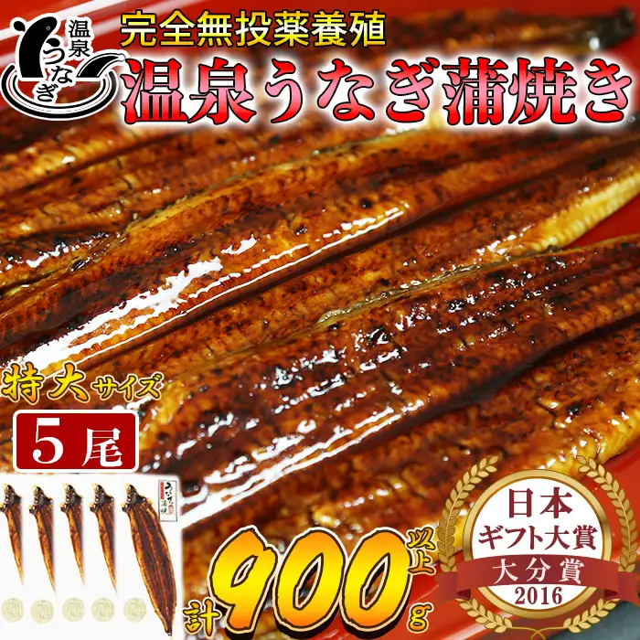 温泉うなぎ 蒲焼 5尾（180gサイズ）【大分水産】 国産 完全無投薬 うなぎ 九州 大分県 うな丼 うな重 冷凍 鰻 ギフト 受賞 特大 土用の丑の日 スタミナ 夏バテ ＜104-017＞