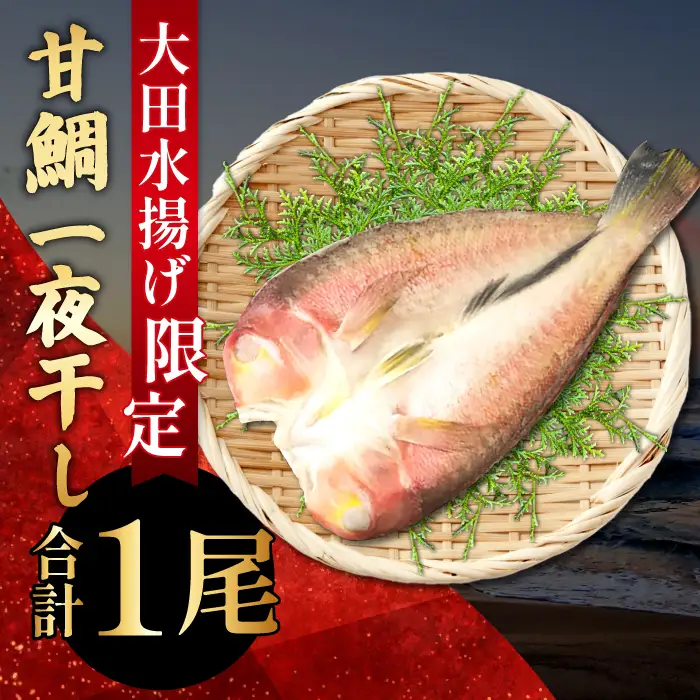 「一日漁」甘鯛一夜干【干物 鯛 甘鯛 1尾 約27cm 約300g 国産 魚介類 魚 あまだい たい タイ 一夜干 一日漁 無添加 天日塩 特産品 お取り寄せ グルメ 贈答 ギフト プレゼント 父の日 母の日】