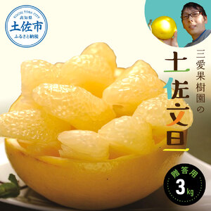 【先行予約】三愛果樹園の土佐文旦　贈答用　約3kg / 土佐文旦 みかん 柑橘 ぶんたん ブンタン 果物 フルーツ 〈2027年2月上旬から順次発送〉【三愛果樹園】 [BQAO006]