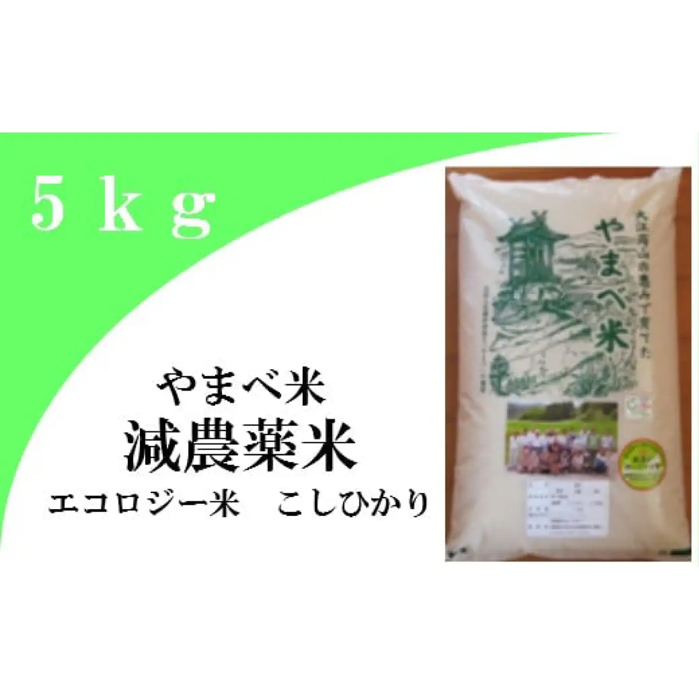 【精米】減農薬米（ こしひかり 100％）５ｋｇ【お米 5kg 令和7年産 2025年産 コシヒカリ 米 精米 エコロジー米 減農薬米 エコファーマー認定 減農薬 減化学肥料 島根県産 大田市産】
