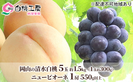 桃 ぶどう 詰合せ 先行予約 清水白桃 5玉 約1.5kg ニューピオーネ 1房 550g以上 白桃 もも 葡萄 ブドウ 桃