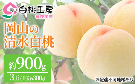 桃 先行予約 清水白桃 3玉 合計約900g（1玉約300g） 白桃 もも モモ 桃