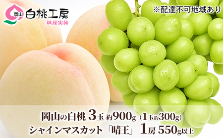 桃 ぶどう 2026年 先行予約 白桃 3玉 合計約900g（1玉約300g） シャインマスカット 晴王 1房 550g以上 もも 葡萄 詰合せ 岡山県産 国産 フルーツ 果物 ギフト 桃茂実苑 