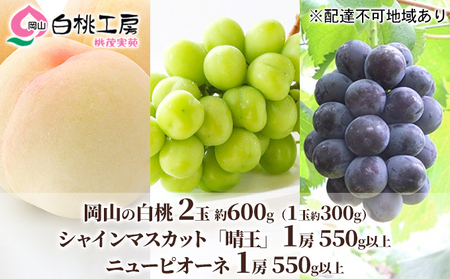 桃 ぶどう 2026年 先行予約 白桃 2玉 合計約600g（1玉約300g） シャインマスカット 晴王 ・ ニューピオーネ 各1房 550g以上 もも モモ 葡萄 ブドウ 岡山県産 国産 フルーツ 果物 ギフト 桃茂実苑 