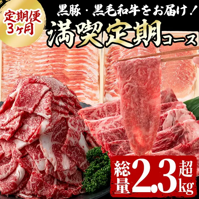【定期便全3回】黒毛和牛・黒豚をお届け！＜黒毛和牛・黒豚 満喫定期コース＞計2.3kg超 t0042-008