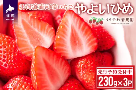 【先行受付開始！】北海道浦河産いちご「やよいひめ」230g×3P[13-883]