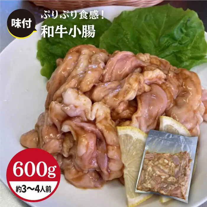 プリプリで味わい深い！ホルモン専門店の和牛小腸 600g（約3~4人前）【三田川ホルモン専門店】吉野ヶ里町 [FAC007]