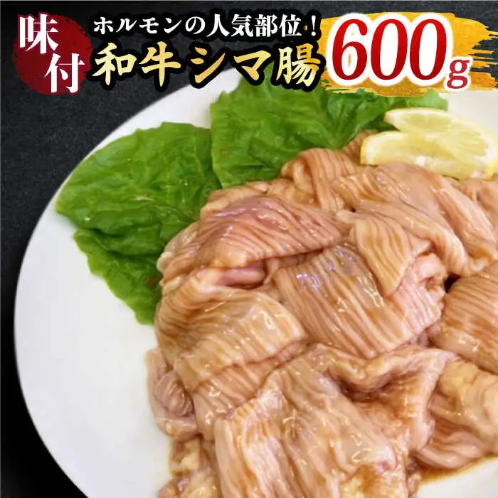 ホルモン専門店の和牛シマ腸 600g（3?4人前）[FAC008]