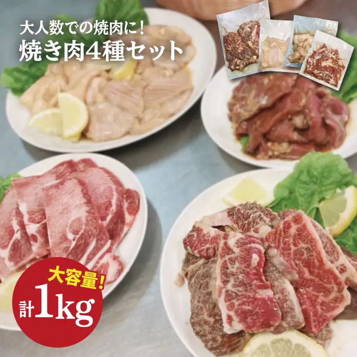 【味付】【大容量】ホルモン専門店の豪華！焼き肉4種セット計1kg（和牛ハラミ 400g ／ 豚ハラミ・丸腸・シマ腸 各200g） 吉野ヶ里町/三田川ホルモン専門店 [FAC011]