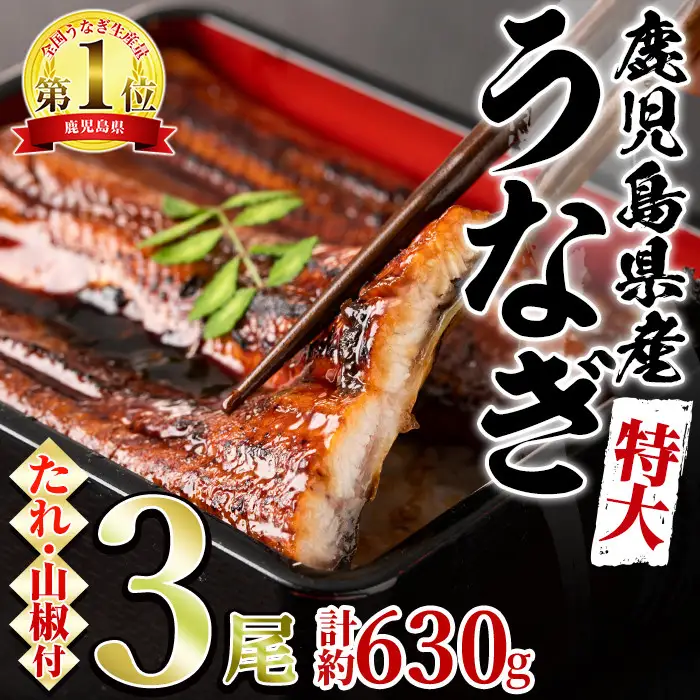 東串良町のうなぎ蒲焼(無頭)(3尾・計約630g・タレ、山椒付)うなぎ 高級 ウナギ 鰻 国産 蒲焼 蒲焼き たれ 鹿児島 ふるさと 人気【アクアおおすみ】【0204356a】