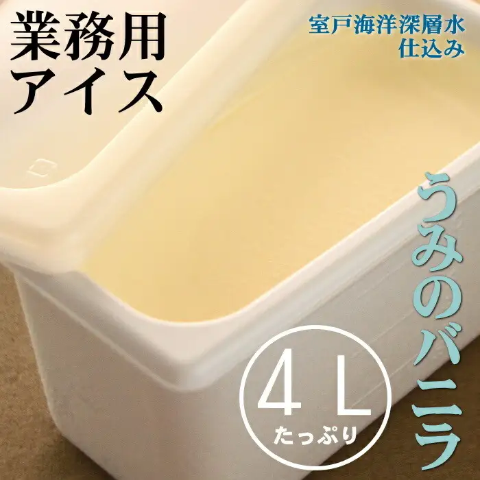 高評価★5 バニラアイスクリーム4L 塩アイスクリーム