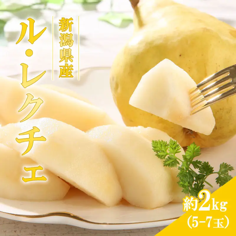 【2026年先行予約】新潟県産 西洋梨 ル・レクチェ 5~7玉  《11月下旬～12月頃発送》