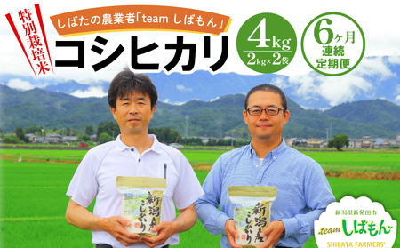 定期便 4kg×6ヵ月 特別栽培米コシヒカリ 新潟県 新潟産 新発田産 米 コシヒカリ 特別栽培米 しばもん 2kg 6ヵ月 定期便 D29_04