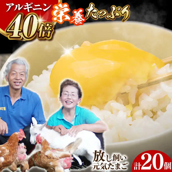 たまご アルギニン元気 たまご 20個[EA01] 
