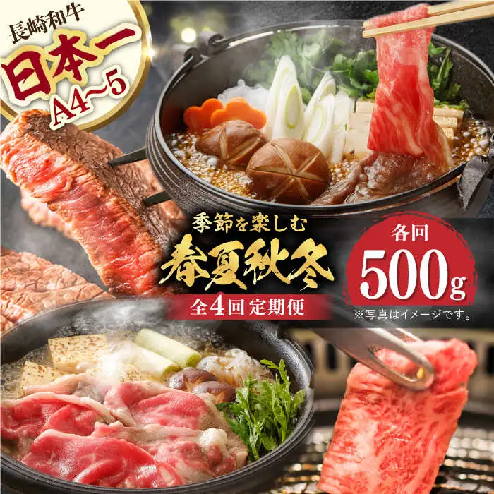 【全4回】【内閣総理大臣賞受賞！】長崎和牛 毎月お届けセット ( 希少部位アリ ) 500g×4回 [YA19]  肉 牛肉 ロース サーロイン ステーキ サーロインステーキ すき焼き しゃぶしゃぶ 焼肉 定期便