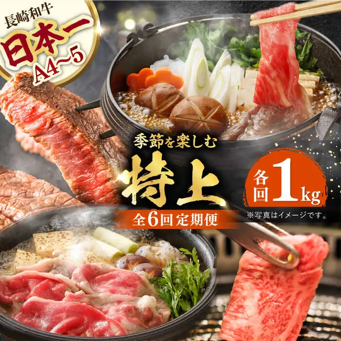 【全6回】【内閣総理大臣賞受賞！】長崎和牛 毎月お届けセット ( 希少部位アリ ) 1kg×6回 [YA20]  肉 牛肉 ロース サーロイン ステーキ サーロインステーキ レモンステーキ すき焼き しゃぶしゃぶ 焼肉 定期便