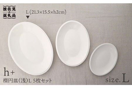 【波佐見焼】h+ 楕円皿 (浅) プレート L 5枚セット 食器 皿 【堀江陶器】 [JD20]