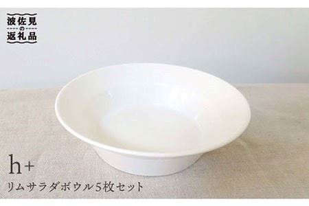 【波佐見焼】h+ リム サラダ ボウル 5枚セット 食器 皿 【堀江陶器】 [JD22]
