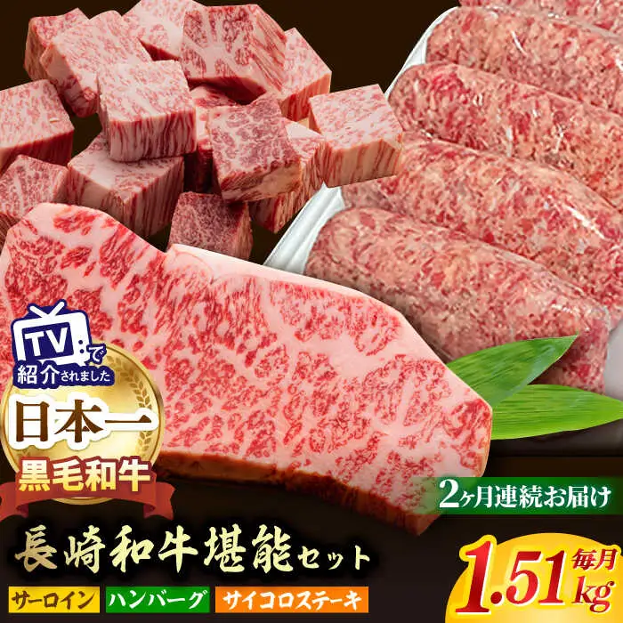 【全2回】 サーロイン サイコロステーキ ハンバーグ 総量3kg以上 セット 長崎和牛 [NA65] 肉 牛肉 サーロインステーキ 焼肉 おかず 惣菜 定期便