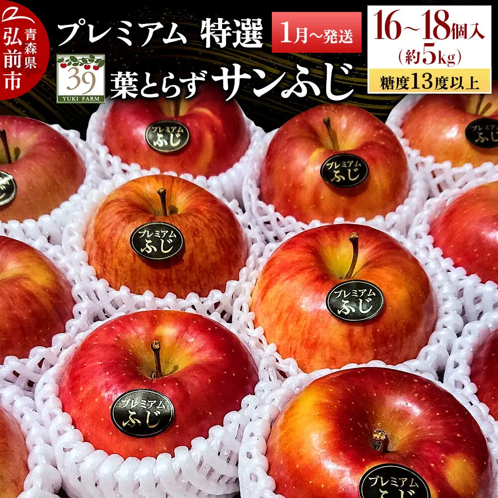りんご 葉とらずサンふじ【特選】約5kg（16～18個）先行受付