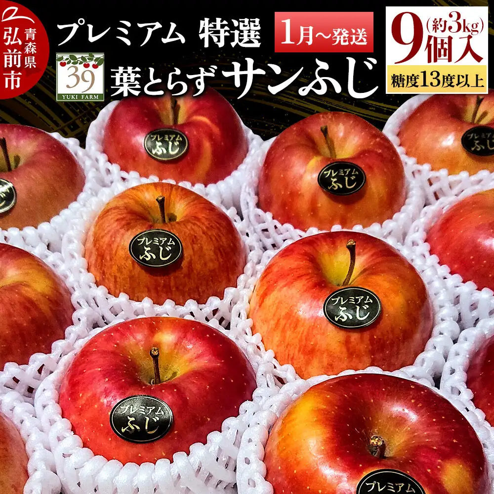 りんご 葉とらずサンふじ【特選】約3kg（9個）プレミアム 先行受付