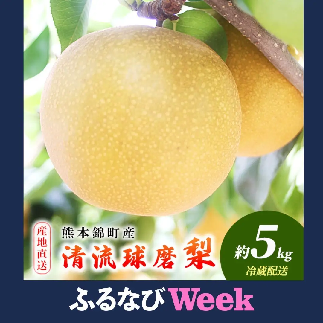 【ふるなびWEEK対象】梨 旬 5kg 先行予約 2026年発送 平野果樹園 錦の梨 